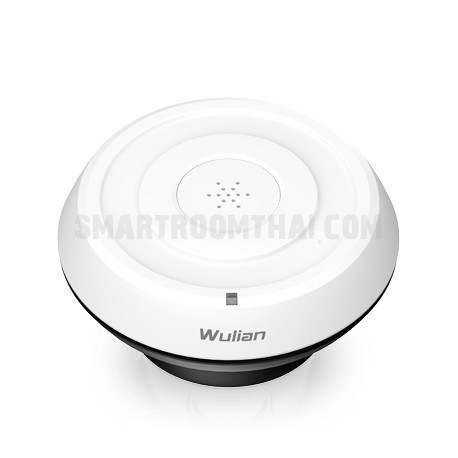 Wireless Temperature & Humidity Detector