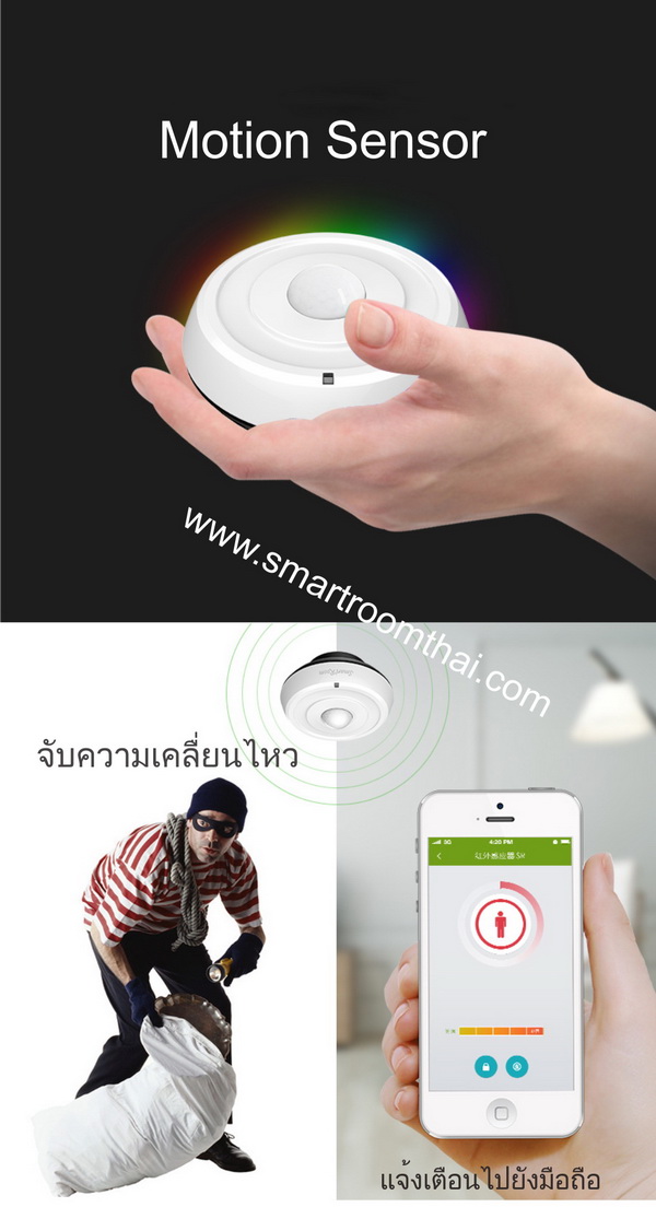 motion sensor